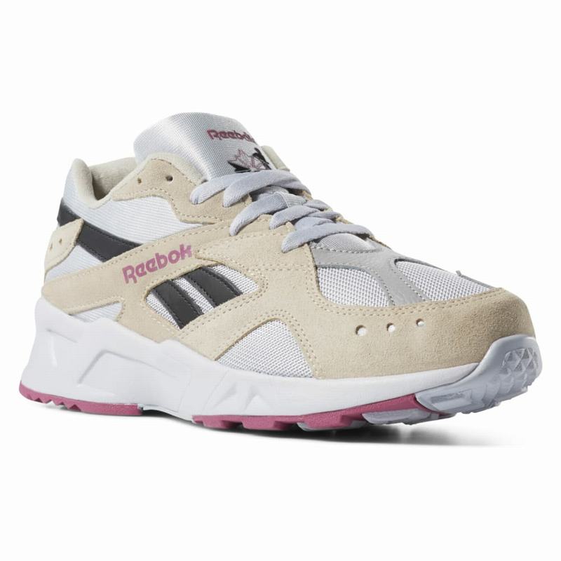 Tenisi Reebok Aztrek Dama Gri/Bej Romania SK6196WL